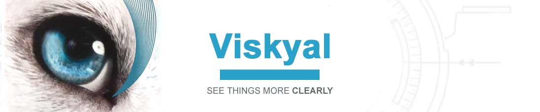 Viskyal